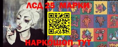 дмт Гатчина