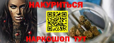 дмт Гатчина