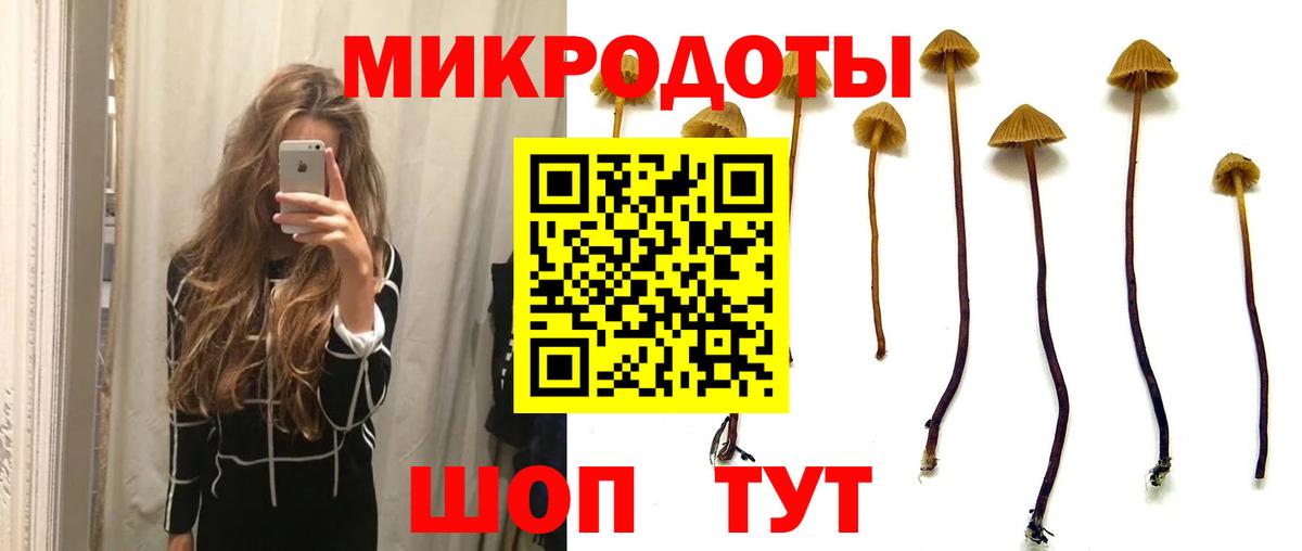 Псилоцибиновые грибы ЛСД  Псилоцибиновые грибы мицелий  Вход с VPN  Зеленогорск 